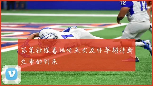 苏莱社媒喜讯传来女友怀孕期待新生命的到来