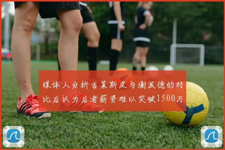 媒体人分析吉莱斯皮与谢泼德的对比后认为后者薪资难以突破1500万